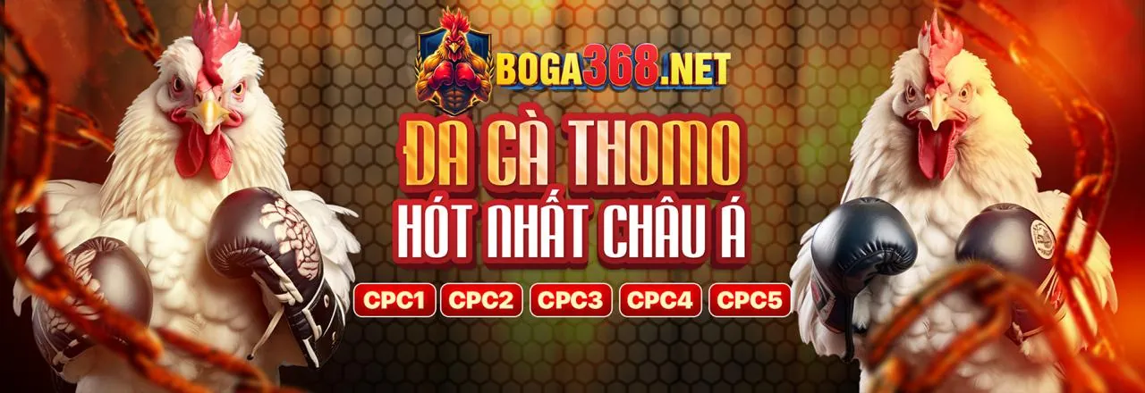 Cá cược trực tiếp VN88 website chính thức